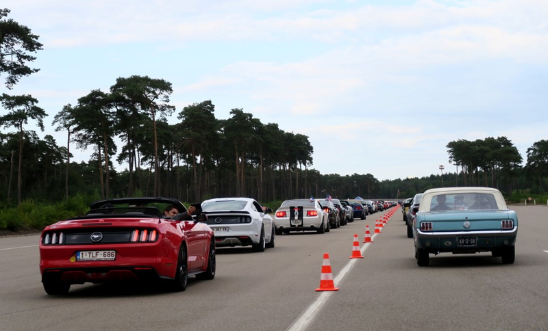 Illustration for article titled Belgium Takes The Ford Mustang World Record